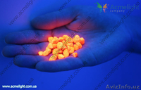 Идеи малого бизнеса в г.Китоб   - Изображение #2, Объявление #681820